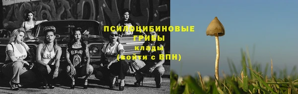 гидра Армянск