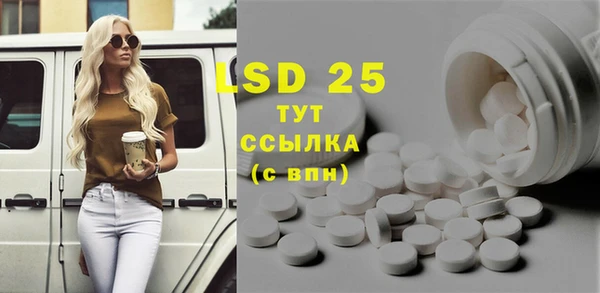ПСИЛОЦИБИНОВЫЕ ГРИБЫ Арсеньев
