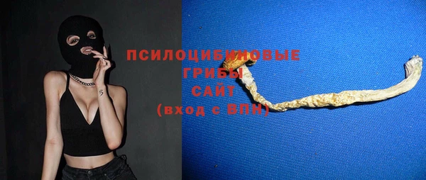 гидра Армянск