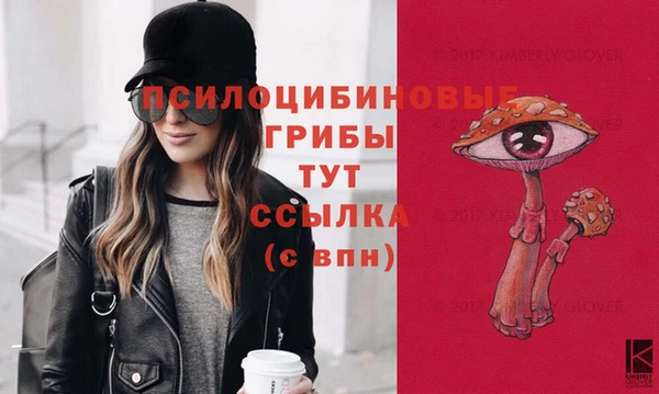 ПСИЛОЦИБИНОВЫЕ ГРИБЫ Арсеньев